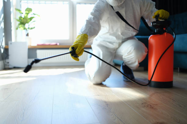 Pest Prevention Services in Brooks, KY