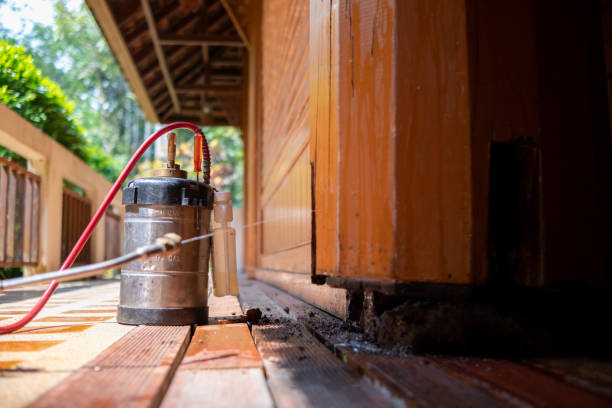 Best Cockroach Control Services  in Brooks, KY