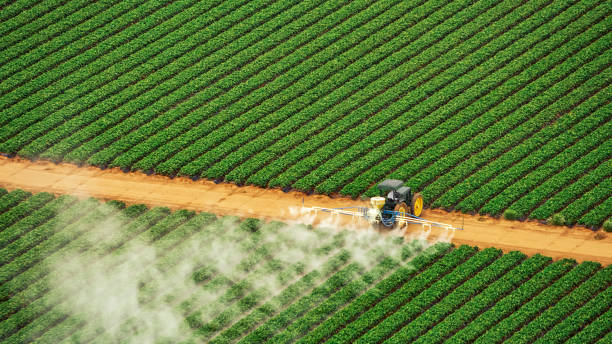 Best Commercial Pest Control Services  in Brooks, KY