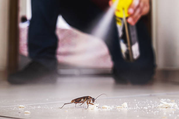 Best Pest Prevention Services  in Brooks, KY