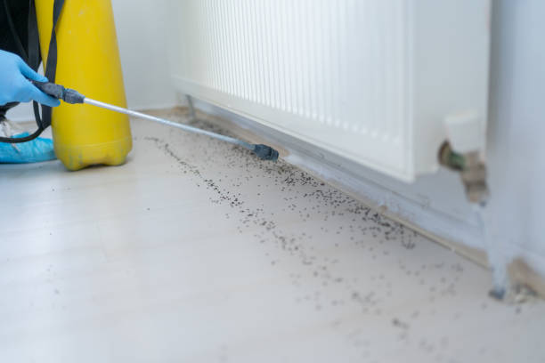 Professional Pest Control in Brooks, KY